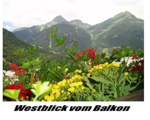 Appartement Haus Lifinar - Carmen Juen à Sankt Gallenkirch Extérieur photo